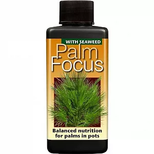 Удобрение для пальм Palm Focus
 - фото 4