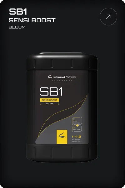 Advanced Nutrients SB1