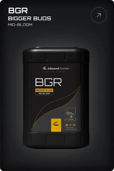 Advanced Nutrients BGR