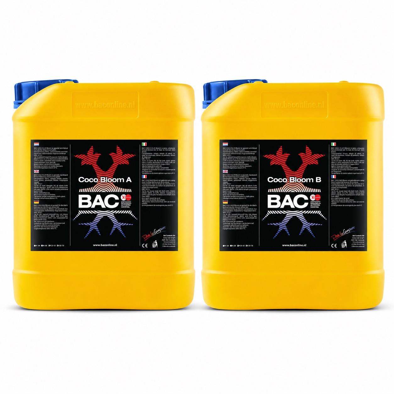 B.A.C. Coco Bloom A+B