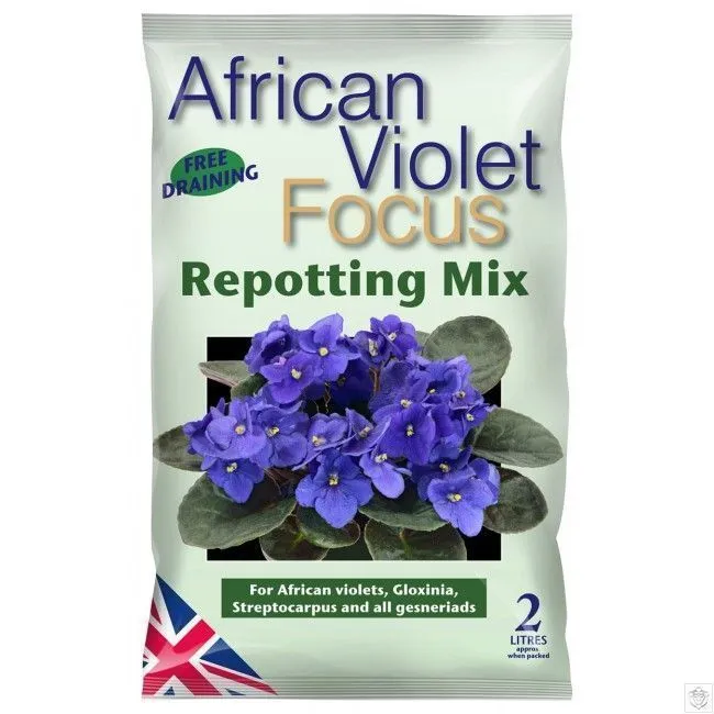 Growth Technology African violet Focus Repotting Mix