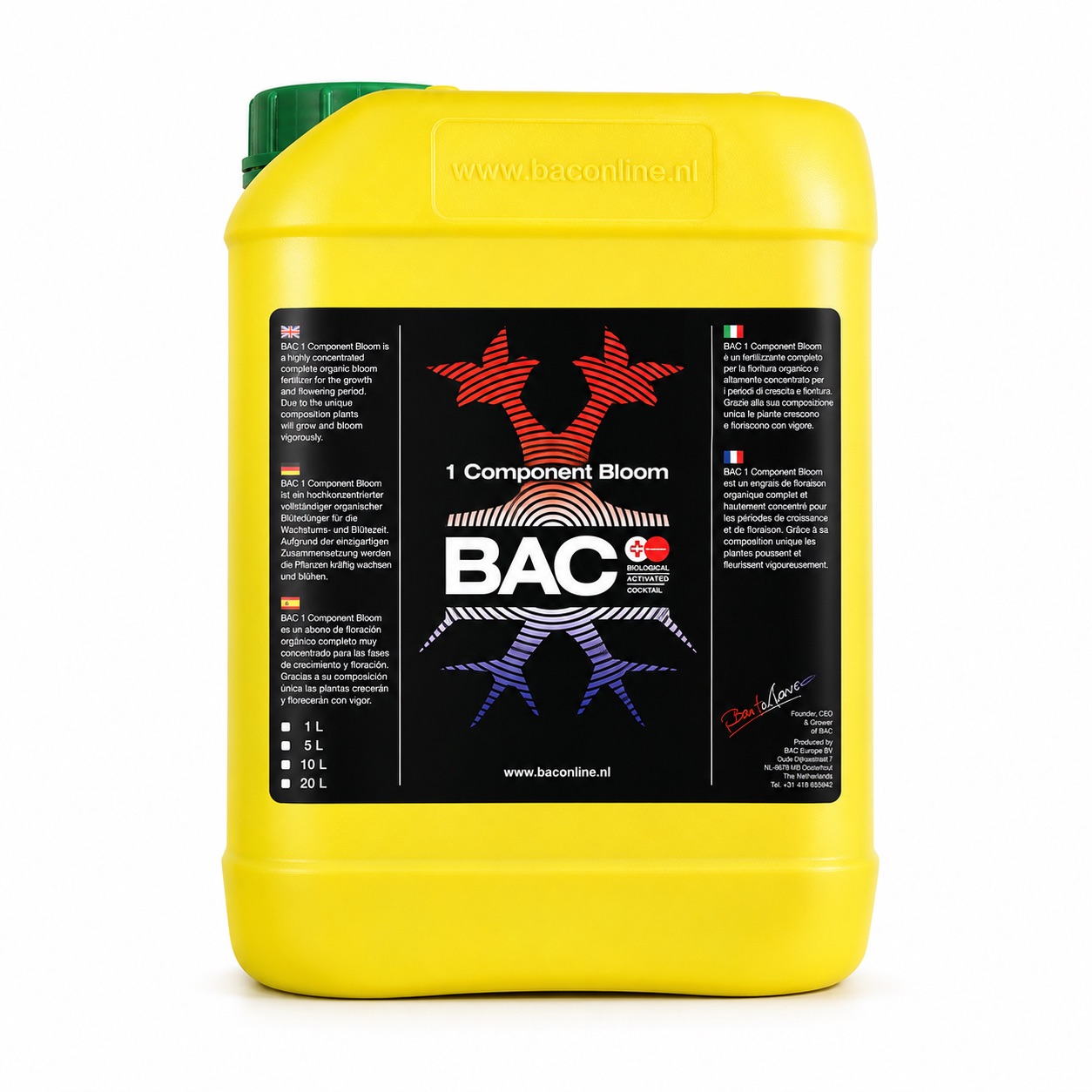 B.A.C. 1 Component Bloom