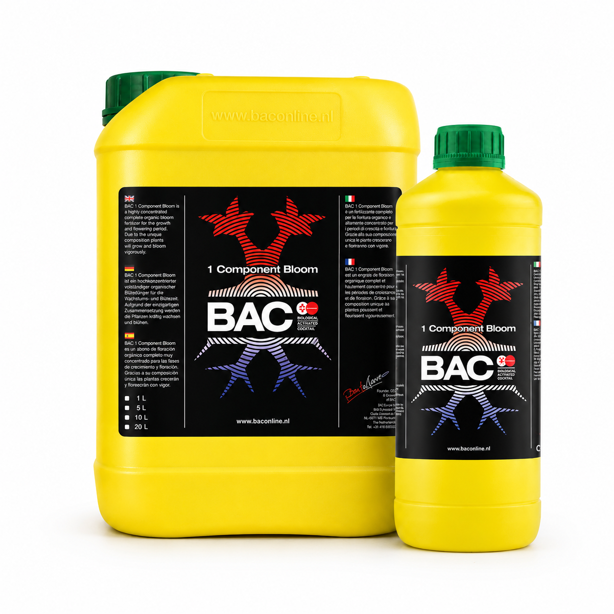 B.A.C. 1 Component Bloom