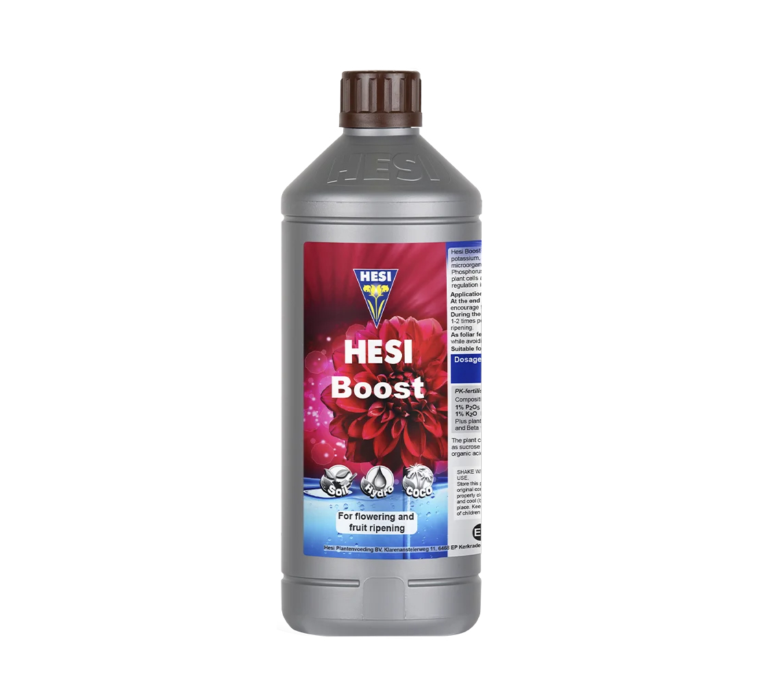 Hesi Boost
