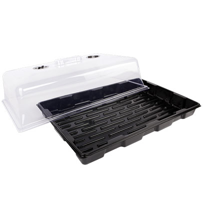 Propagator B