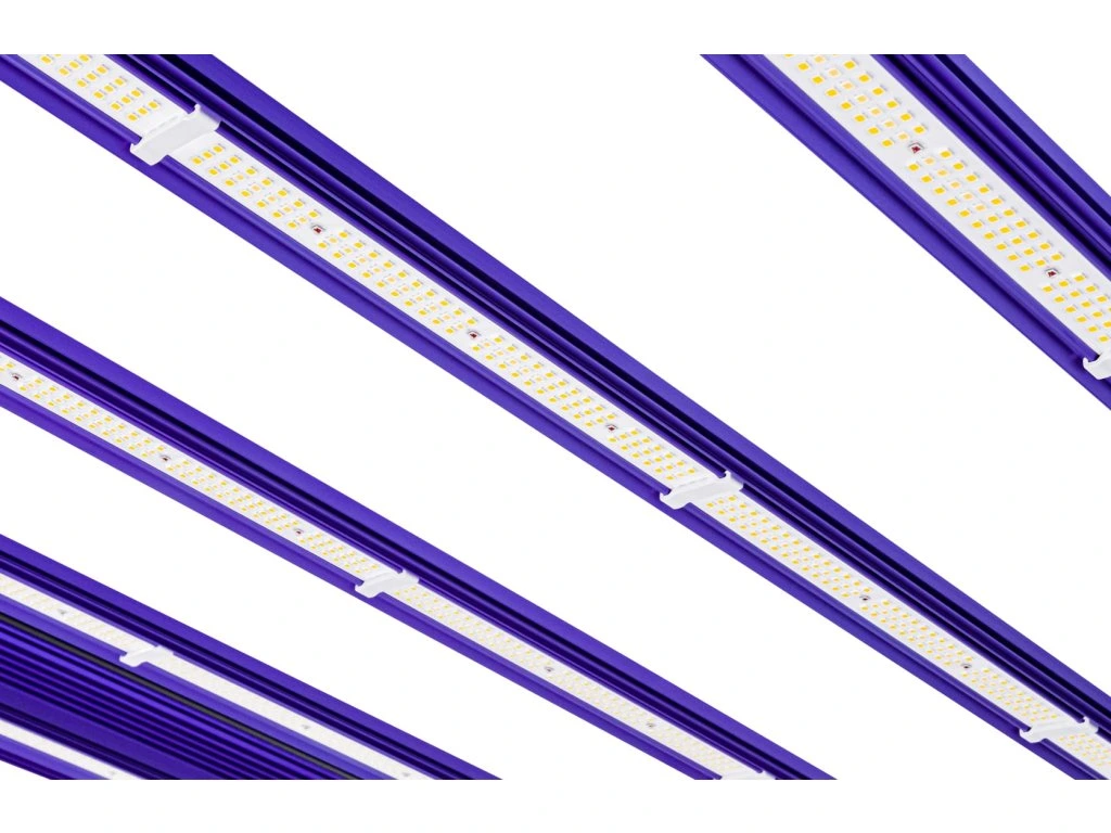 LED-светильник Lumatek ZEUS 1000W PRO EVO 3.1
