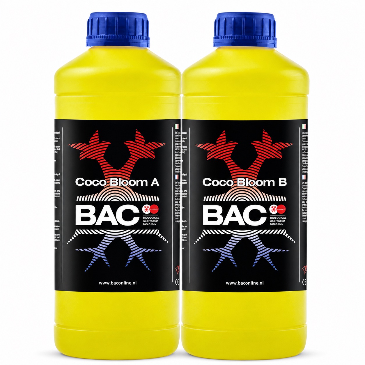B.A.C. Coco Bloom A+B