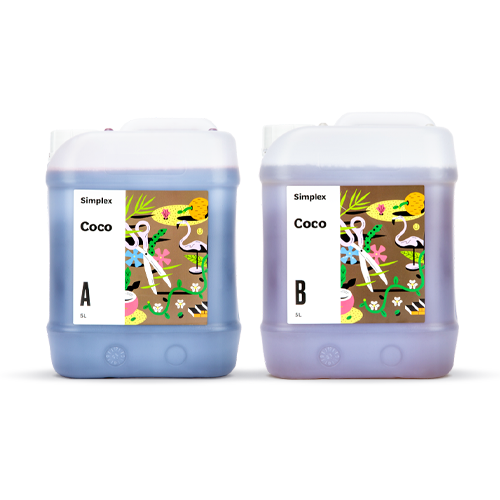 Simplex Coco A+B 5 л