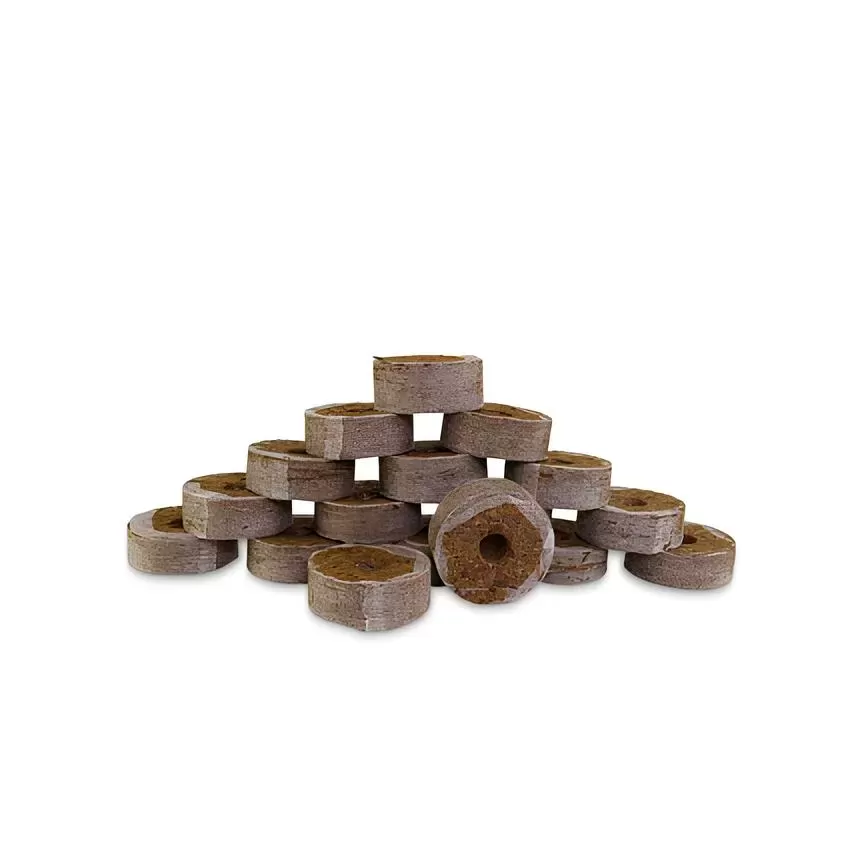 Simplex Coco Plug