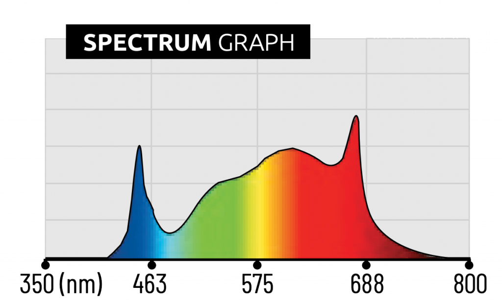 ZEUS_spectrum.png