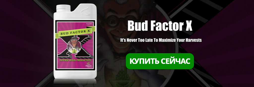 Bud Factor x.png
