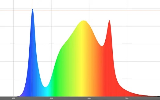 усилитель цветения спектр.jpg