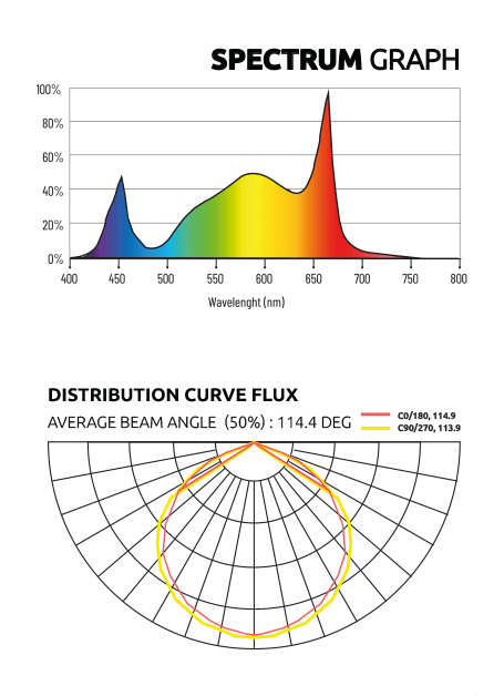 ZEUS600W31_PRO_GRAPH-min.png.png ZEUS600W31_PRO_GRAPH-min.png.png