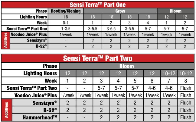 Sensi Terra schedule