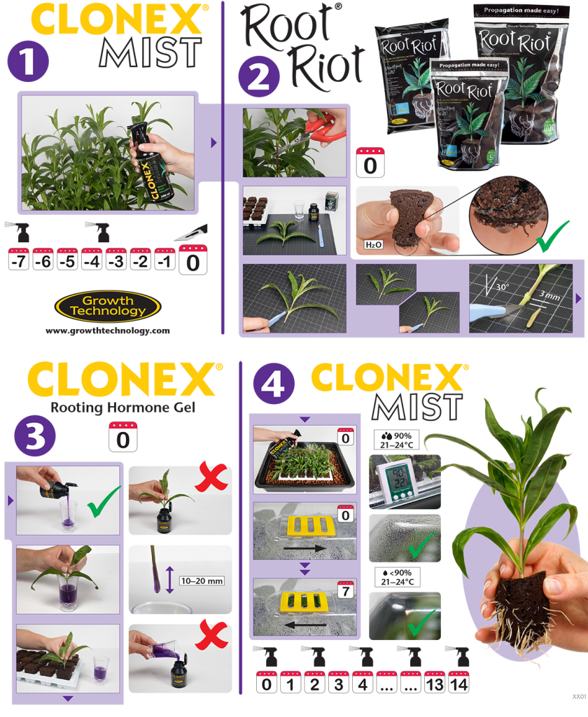 Clonex-instructions-223123131.png