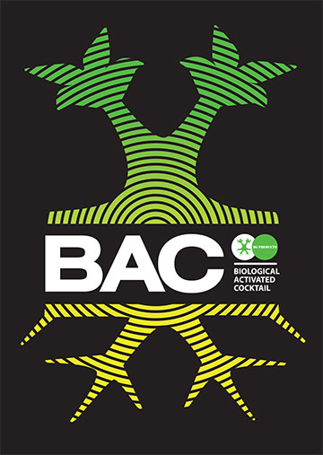 Logo-BAC-GY.jpg