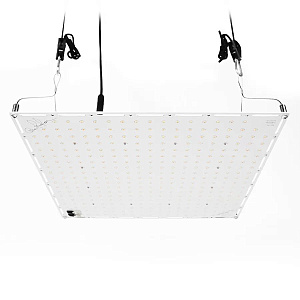  LED Growitation One 150w - фото 1
