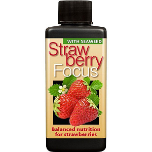 Удобрение для клубники Strawberry Focus - фото 4