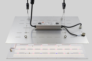 Siyanie Quantum board Siyanie Evolution ECO 240 Вт - фото 2