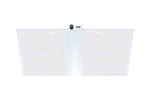 Nanolux Nanolux LED RG300 UV&IR - фото 1