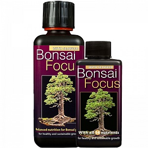 Удобрение для бонасай Bonsai Focus - фото 1
