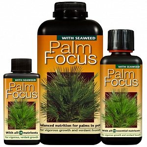 Удобрение для пальм Palm Focus
 - фото 1