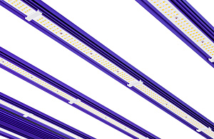 Lumatek ZEUS 1000 Вт PRO EVO 3.1 - фото 2