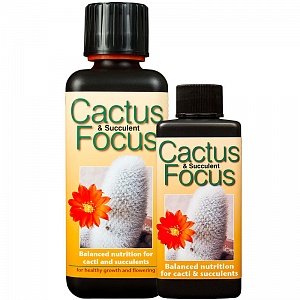 Удобрение для кактусов Cactus Focus - фото 1