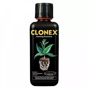 Clonex 300мл - фото 1