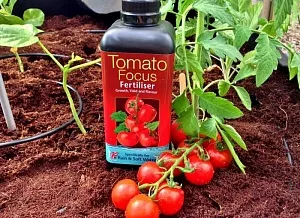 Удобрение для томатов Tomato Focus - фото 2
