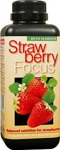 Удобрение для клубники Strawberry Focus - фото 2