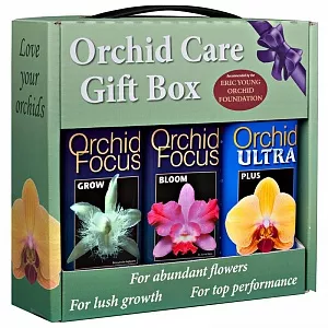 Лучшее удобрение для орхидей Orchid Focus - фото 1