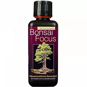 Удобрение для бонасай Bonsai Focus - фото 2