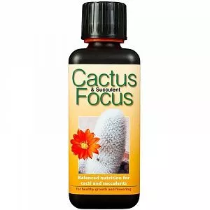 Удобрение для кактусов Cactus Focus - фото 2