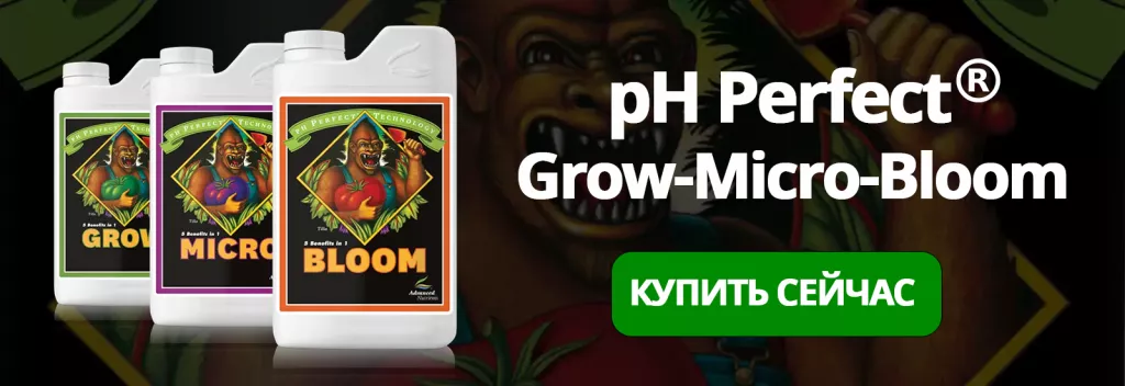 ph perfect grow micro bloom.png