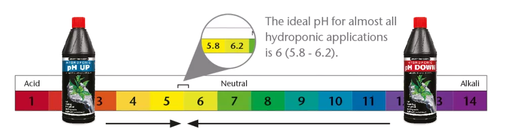 pH-diagram.png